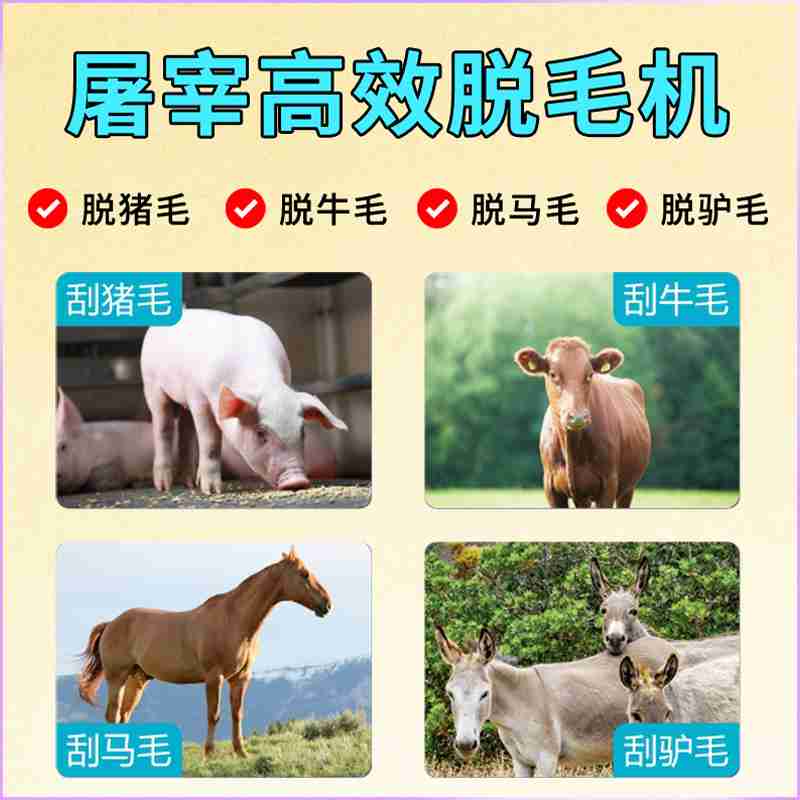 宁夏驻新疆劳务工作总站服务窗口。